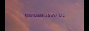 帮助猫咪除口臭的方法