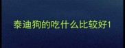 泰迪狗的吃什么比较好