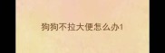 狗狗不拉大便怎么办