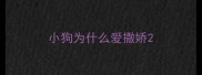 小狗为什么爱撒娇