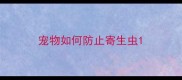 宠物如何防止寄生虫