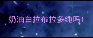 奶油白拉布拉多纯吗