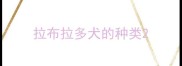 拉布拉多犬的种类