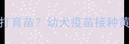 刚满月的小狗几天打育苗幼犬疫苗接种黄金期全及科学方法