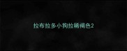 拉布拉多小狗拉稀褐色