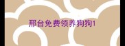 邢台免费领养狗狗