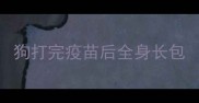 狗打完疫苗后全身长包