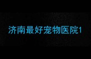 济南最好宠物医院