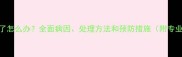 小狗爪子肿了怎么办全面病因处理方法和预防措施附专业兽医建议