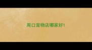周口宠物店哪家好