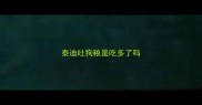 泰迪吐狗粮是吃多了吗