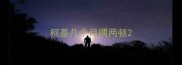 柯基几个月喂两顿