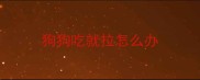 狗狗吃就拉怎么办