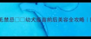 狗狗疫苗期剪毛禁忌幼犬疫苗前后美容全攻略附疫苗时间表