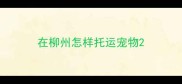 在柳州怎样托运宠物