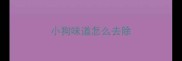 小狗味道怎么去除