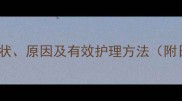 狗狗脚垫硬化症状原因及有效护理方法附日常预防措施