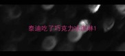 泰迪吃了巧克力冰淇淋