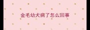 金毛幼犬病了怎么回事