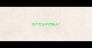拉布拉多趴的特点