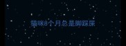 猫咪8个月总是脚踩屎