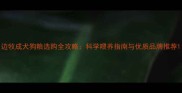 边牧成犬狗粮选购全攻略科学喂养指南与优质品牌推荐