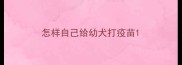 怎样自己给幼犬打疫苗