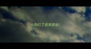 小狗打了疫苗再验