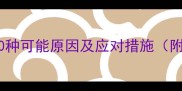 泰迪犬吐白沫的10种可能原因及应对措施附紧急处理指南