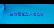 边牧报复主人怎么办