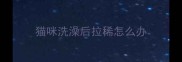 猫咪洗澡后拉稀怎么办