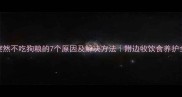 边牧突然不吃狗粮的7个原因及解决方法附边牧饮食养护全攻略