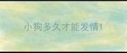 小狗多久才能发情