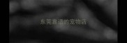 东莞靠谱的宠物店
