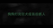 狗狗打完狂犬疫苗后抓人