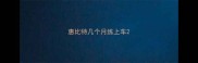 惠比特几个月练上车