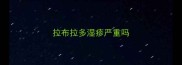 拉布拉多湿疹严重吗