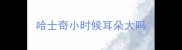 哈士奇小时候耳朵大吗