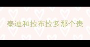 泰迪和拉布拉多那个贵