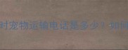 专业宠物托运服务全国24小时宠物运输电话是多少如何选择靠谱的宠物托运公司