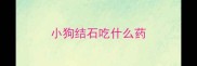 小狗结石吃什么药