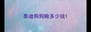 泰迪狗狗粮多少钱