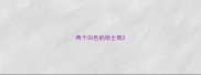 两个白色的哈士奇
