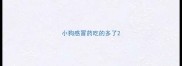 小狗感冒药吃的多了