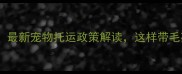 火车出行必看最新宠物托运政策解读这样带毛孩上车不踩坑