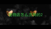 宠物店怎么洗狗的