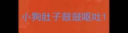 小狗肚子鼓鼓呕吐