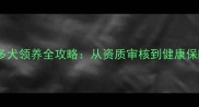 最新小拉布拉多犬领养全攻略从资质审核到健康保障的完整指南