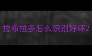 拉布拉多怎么识别好坏