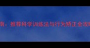 哈士奇幼犬90天养成指南推荐科学训练法与行为矫正全攻略附拆家纠正方案